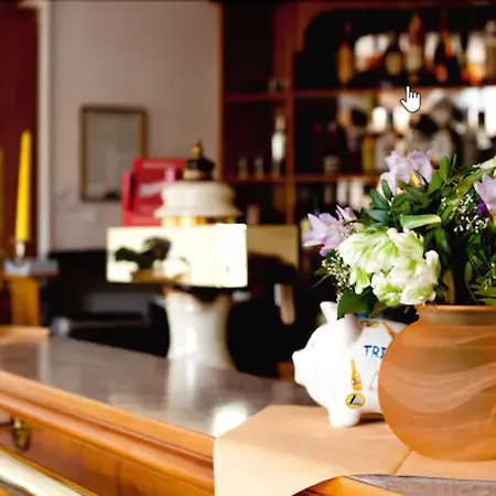 Garni Hp Ist Moeglich Hotell Malchow (Mecklenburg-Vorpommern)
